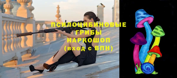 Альфа ПВП Арсеньев