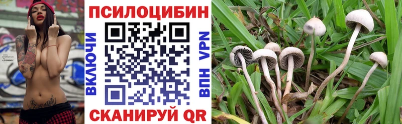 Псилоцибиновые грибы Cubensis  где купить наркоту  Соликамск 